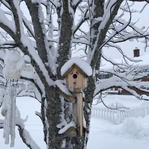 Meet your Posher, Gisèle